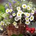 Bahar Omar - Facebook