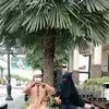 Bahar Omar - @bahar.omar4 - TikTok