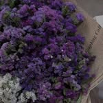 Bahar Omar - @baharomar4 - Instagram