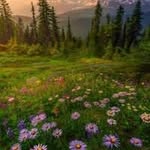 bahar omar - @bahar154346 - Instagram