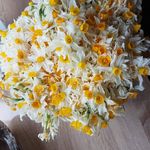Bahar Omar - @shapoly.darya11 - Instagram