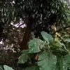 Bahar_.Omar - @bahar_.omar - TikTok