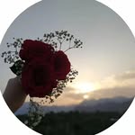 Bahar - @bahar.rasul__ - Instagram