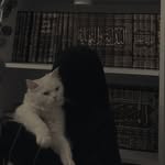 Bahar_rasul - @bahar.rasu_ - Instagram