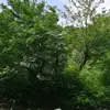 Bahar Rasul - @baharrasul - TikTok