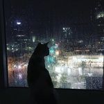 bahar rouhani - @bahar.rouhani953391 - Instagram