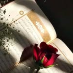 Bahar Sadiq - @baharsadiq20 - Instagram