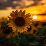 Bahar_sadiq - @bahar_sadiq76 - Instagram