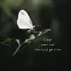 bahar sadiqi - @bahar.sadiqi5 - TikTok