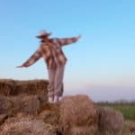 Bahar Torabi - @bahartorabiiiii - Instagram