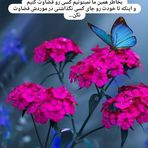 Bahar Torabi - Facebook