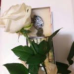 bahar.torabi - @bahar.torabi2527 - Instagram