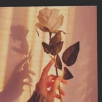 Bahja Ali - @bintualibahja - Instagram
