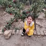 .bahman.arman.64 - @bahman.arman.6464 - Instagram