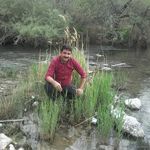 بهمن - @bahman_daneshmandi - Instagram