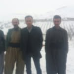bahman.daneshfar - @bahman.daneshfar - Instagram