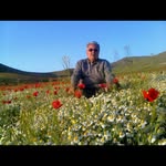 bahman karimi - @bahman.krm569 - Instagram