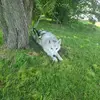 Bahman Karimi - @bahman.karimi - TikTok