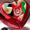 Bahram Safi - @bahram.safi6 - TikTok