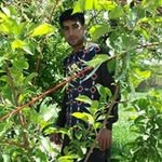 Bahram Sobhani - @sobhanibahram - Instagram