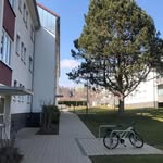 bahram.sobhani12 - @bahram.sobhani12 - Instagram