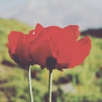 bahram.sobhani - @bahram.sobhanii - Instagram