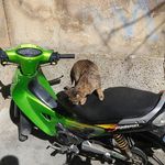 بهرام زندی - @bahram_zandi_h - Instagram