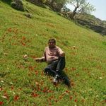 Bahram - @bahram_zandi_59 - Instagram