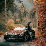 bahram zandi - @zandi2894 - Instagram