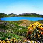 Bahram.zandi - @bahram.zandi7 - Instagram