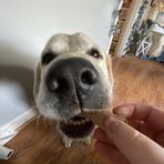 Bailee Barnes - Facebook