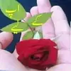 TARUNMEENA - @bbailee_barnes - TikTok