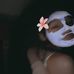 Bailee Mason - Facebook