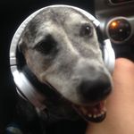 Bailey Albert - @balbert99699969 - Instagram