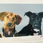 Bailey, Albert & Pixie - @alboo_and_pixie_too - Instagram