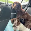 bailey&albert - @baileyalbert - TikTok