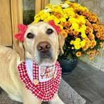Bailey Allen - @baybay_1521 - Instagram