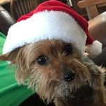 Bailey Arnold - @baileyarnold8578 - Instagram