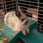 Bailey Bachman - @ladycafe33 - Instagram