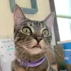 Bailey Bachman - @bailey.bachman - TikTok