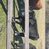 Bailey Banks - @bailey.banks53 - TikTok