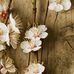 Bailey Bannister - Facebook