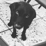 Bailey Bannister - @bailey_bannister_woof - Instagram