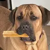 bailey barham - @bailey._.barham - TikTok