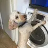 Bailey Barker - @imarge - TikTok