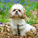 @bailey_barkley_ - Instagram