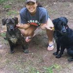 Bailz, Bark & Bear - @baileybarkleybear - Instagram