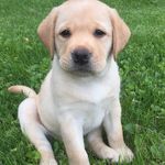 Barkley - @barkley_bailey - Instagram