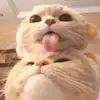 AUDIOS - @bailey.barnett.williams - TikTok