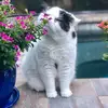 Bailey - @baileybarnett_love - TikTok